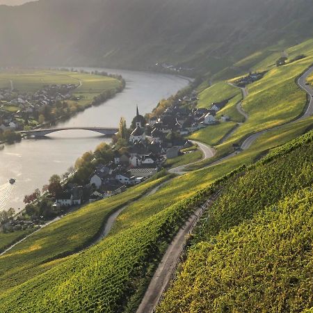 Weingut Lehnert-Spaeter Piesport Kültér fotó