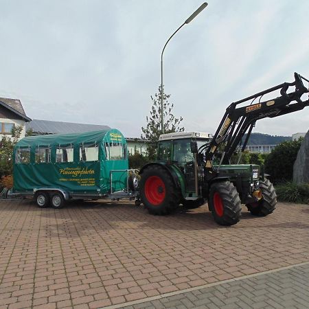 Weingut Lehnert-Spaeter Piesport Kültér fotó